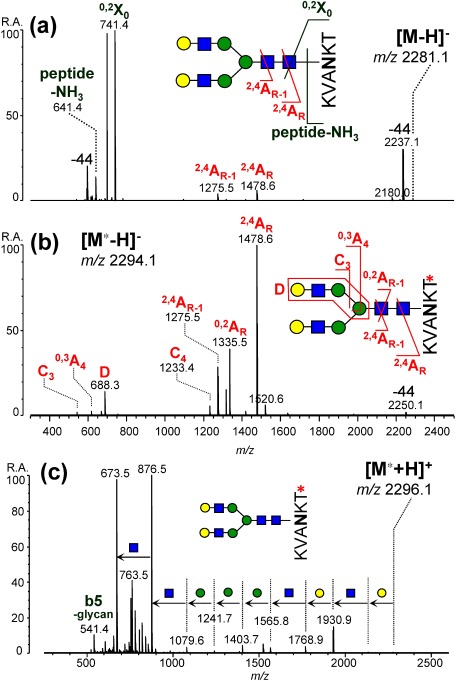 Fig. 8. Influence of methylamidation on negative-ion CID spectra of desialylated SGP. (a) Underivatized forms. (b, c) Methylamidated forms. (a, b) Negative-ion mode. (c) Positive-ion mode. The precursor ion species and their m/z values are given as insets. Reproduced with permission from ref. 59. Copyright (2014) American Chemical Society.