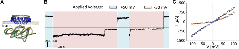 Figure 5.