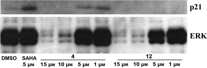 Figure 11