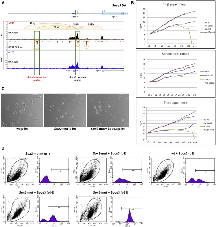 Figure 6