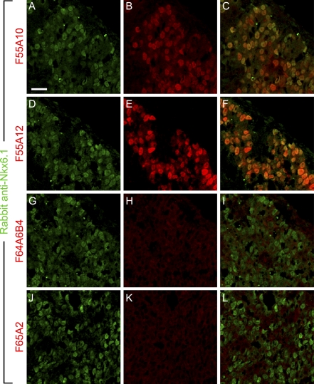 Figure 6