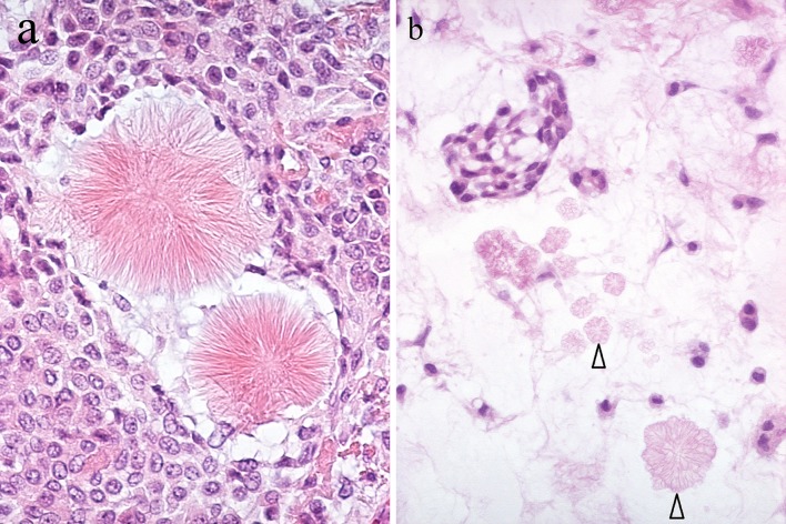 Fig. 6