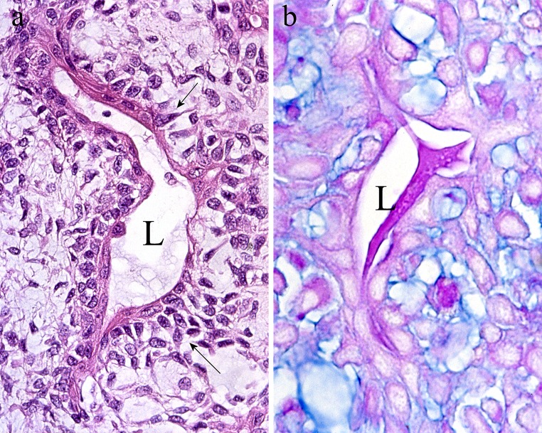 Fig. 20