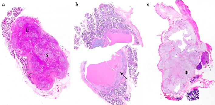 Fig. 1