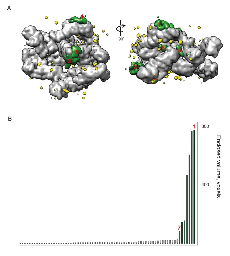 Figure 4—figure supplement 1.