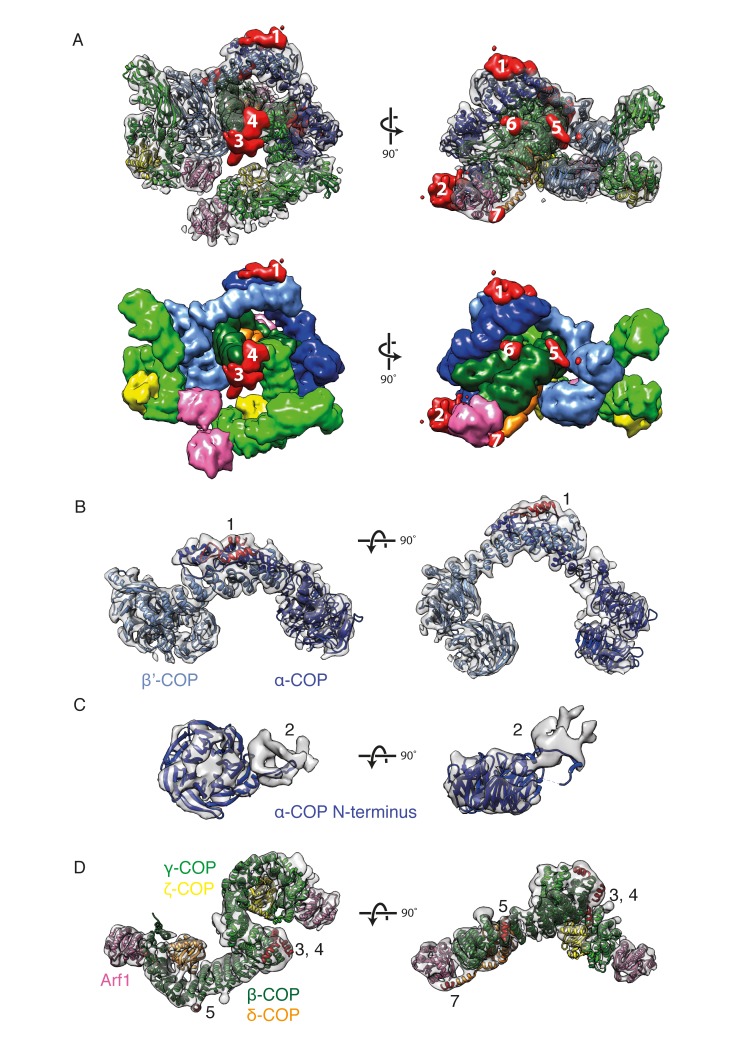 Figure 4.