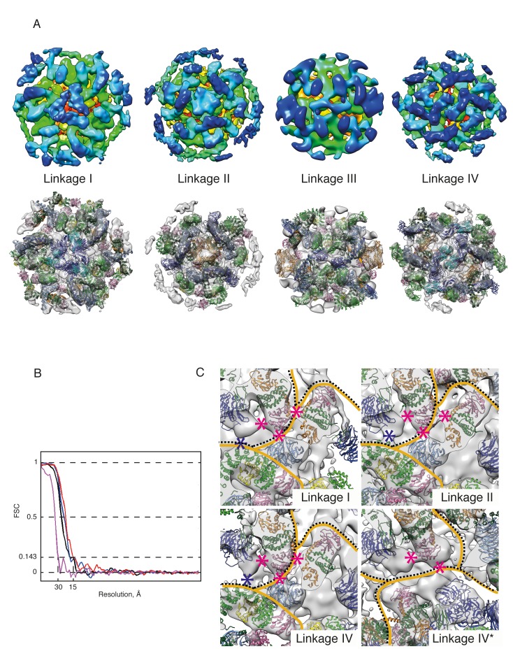 Figure 2—figure supplement 2.