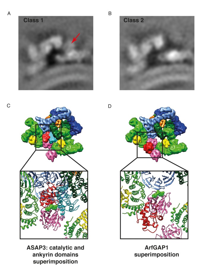 Figure 7—figure supplement 1.