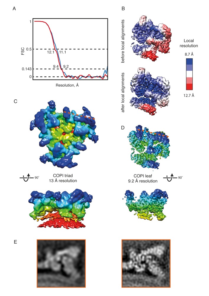 Figure 2—figure supplement 1.