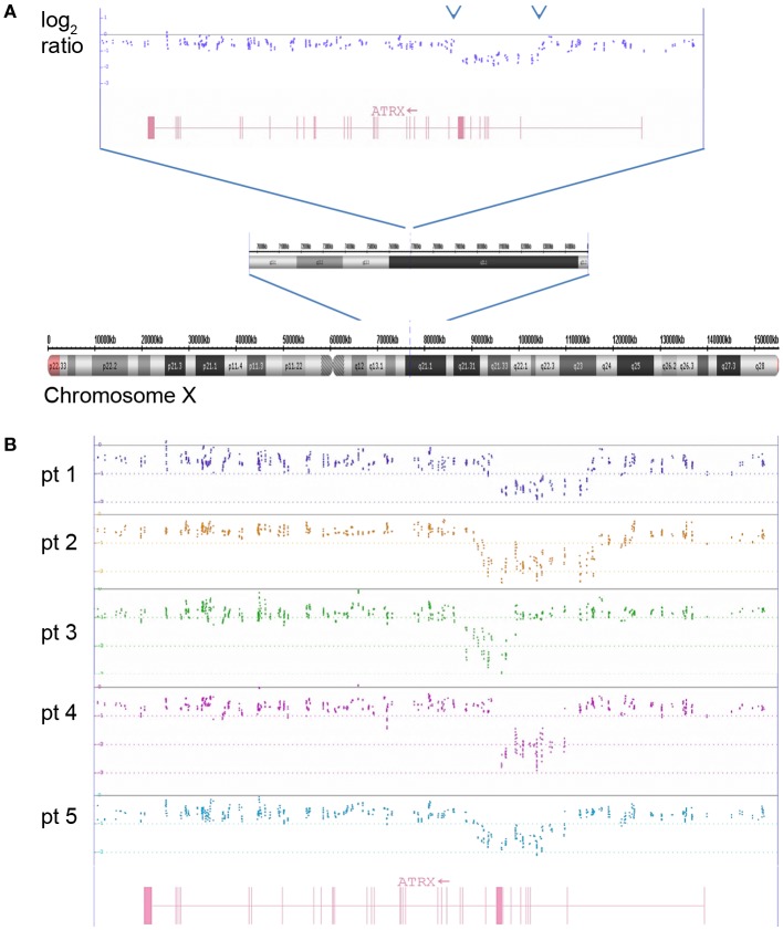 Figure 9