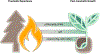 Figure 1-