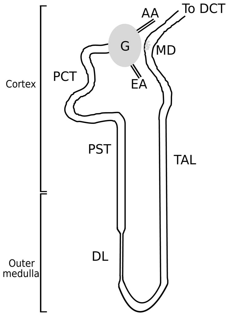 Fig. 1