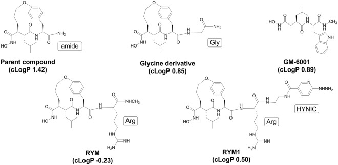 Figure 10