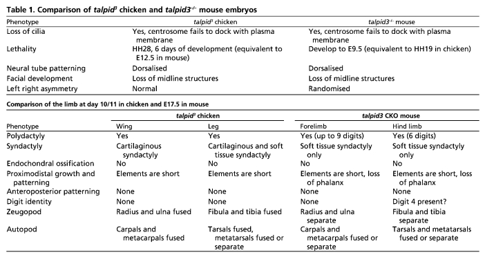 graphic file with name table008.jpg