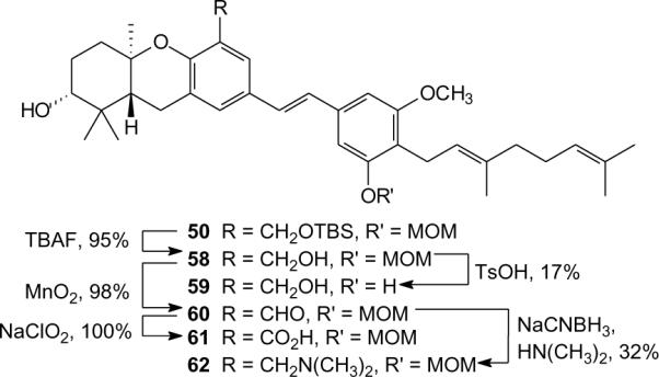 Scheme 4