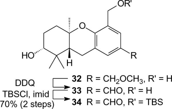 Scheme 2