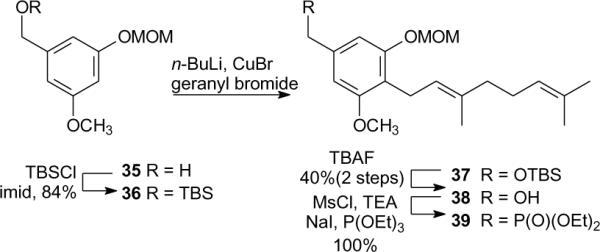 Scheme 3