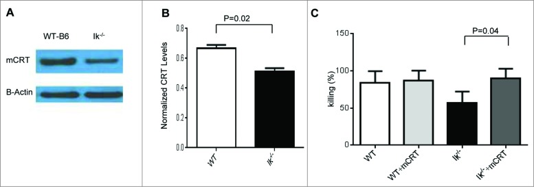 Figure 4.