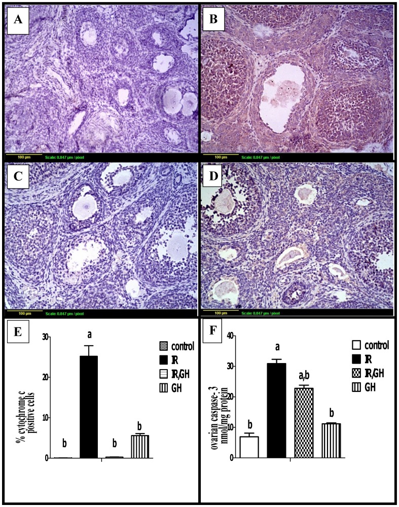 Fig 5