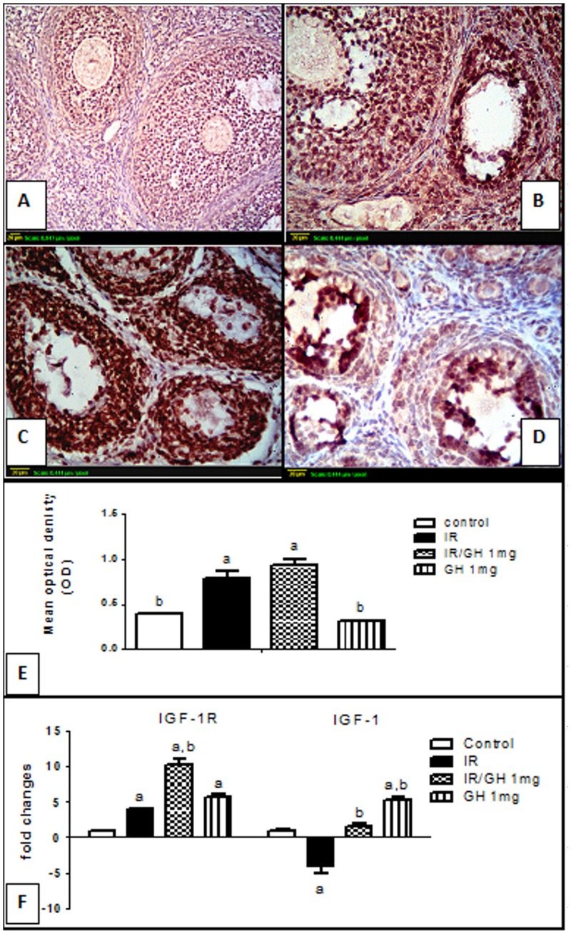 Fig 6