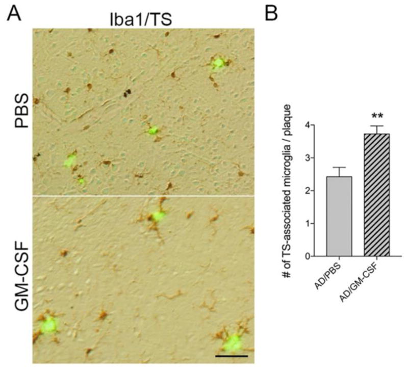 Fig. 6