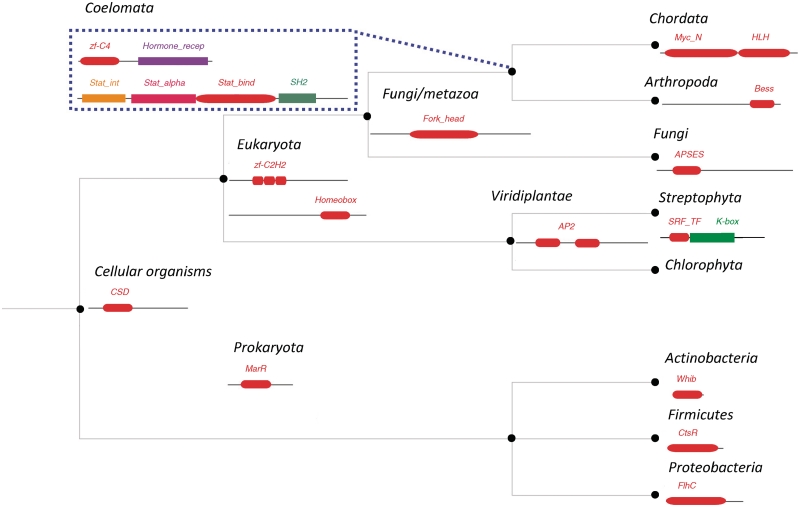 Figure 3.