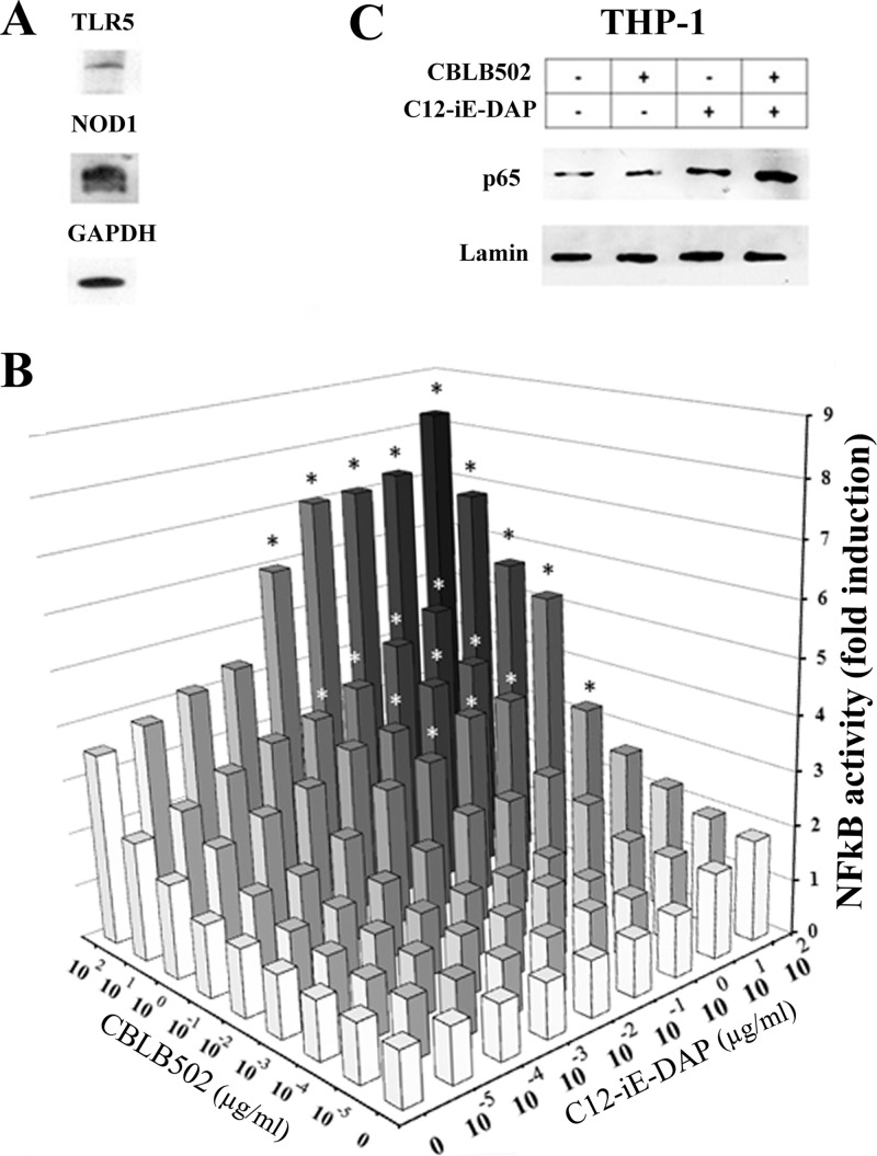 Fig 1