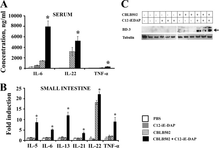 Fig 6