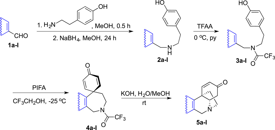 Scheme 2