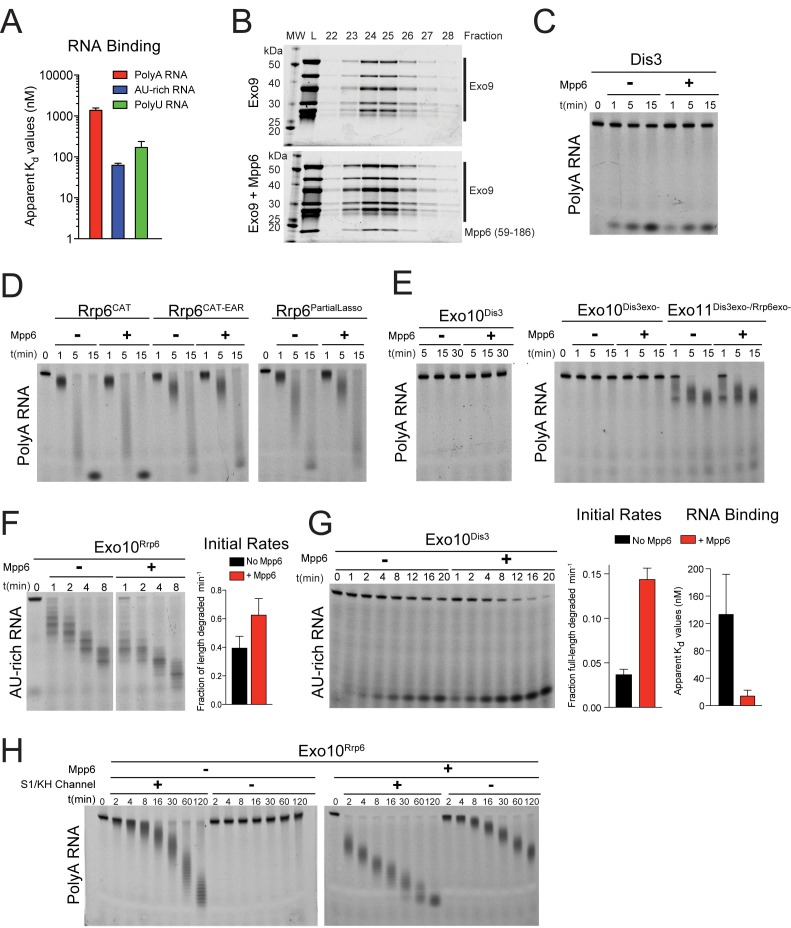 Figure 1—figure supplement 1.