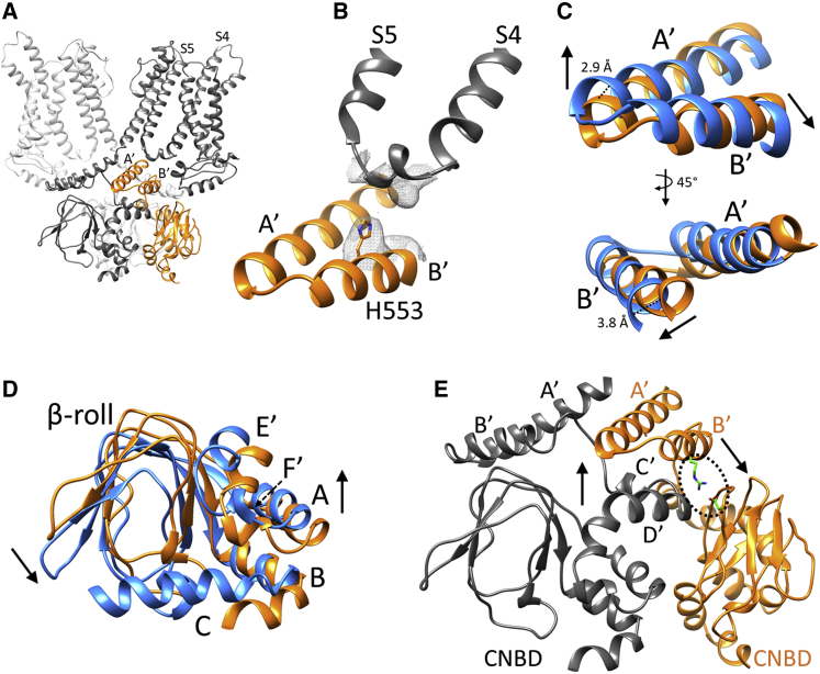 Figure 3