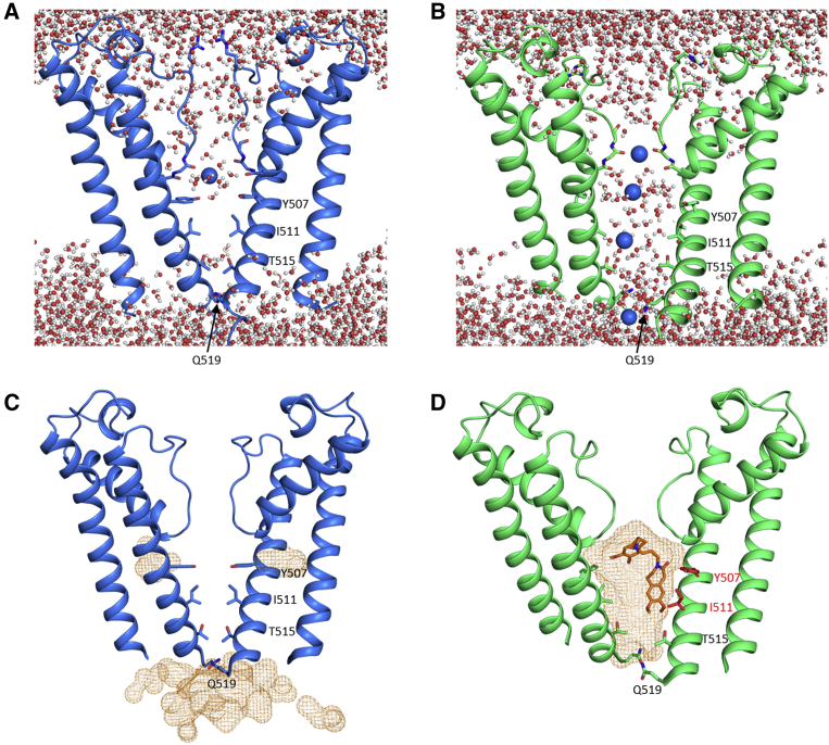 Figure 5