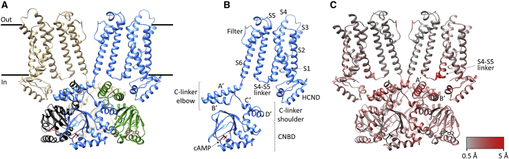 Figure 1