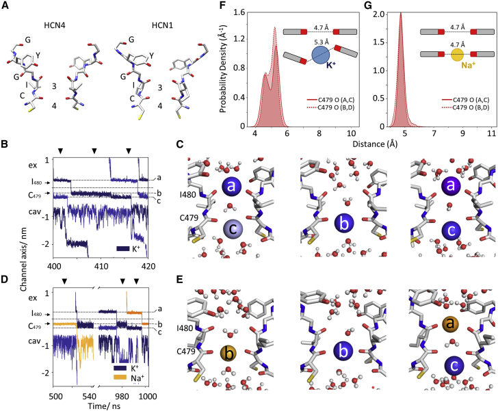 Figure 6