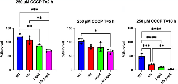 FIG 3