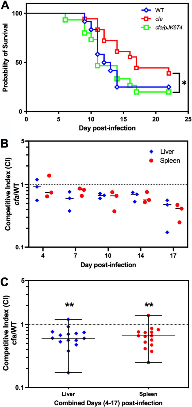 FIG 6