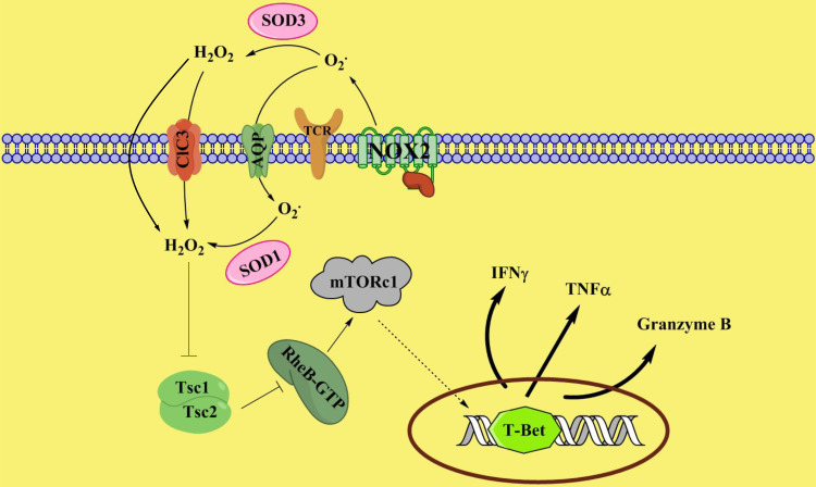 FIGURE 7.