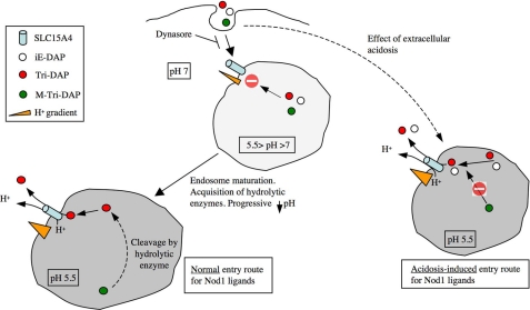 FIGURE 9.