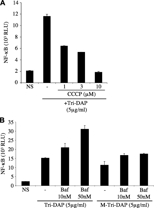 FIGURE 3.