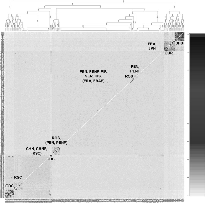 FIGURE 4