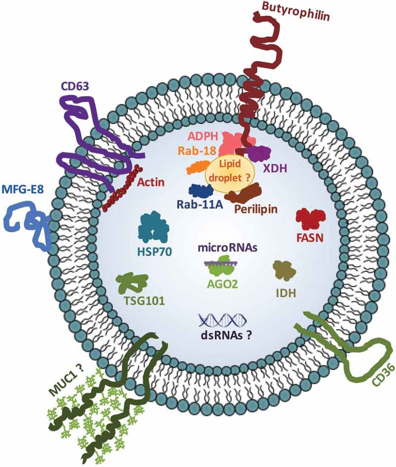 Figure 9.