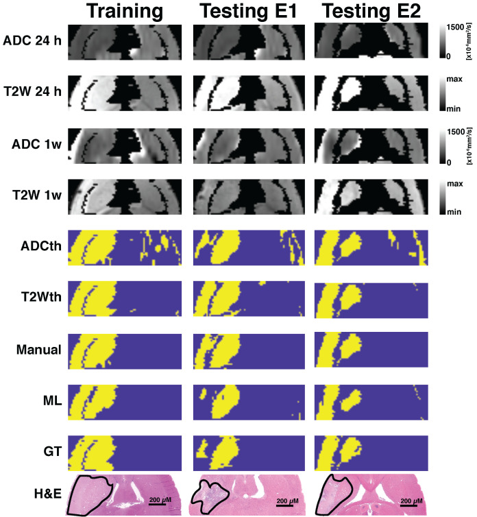 Fig 5