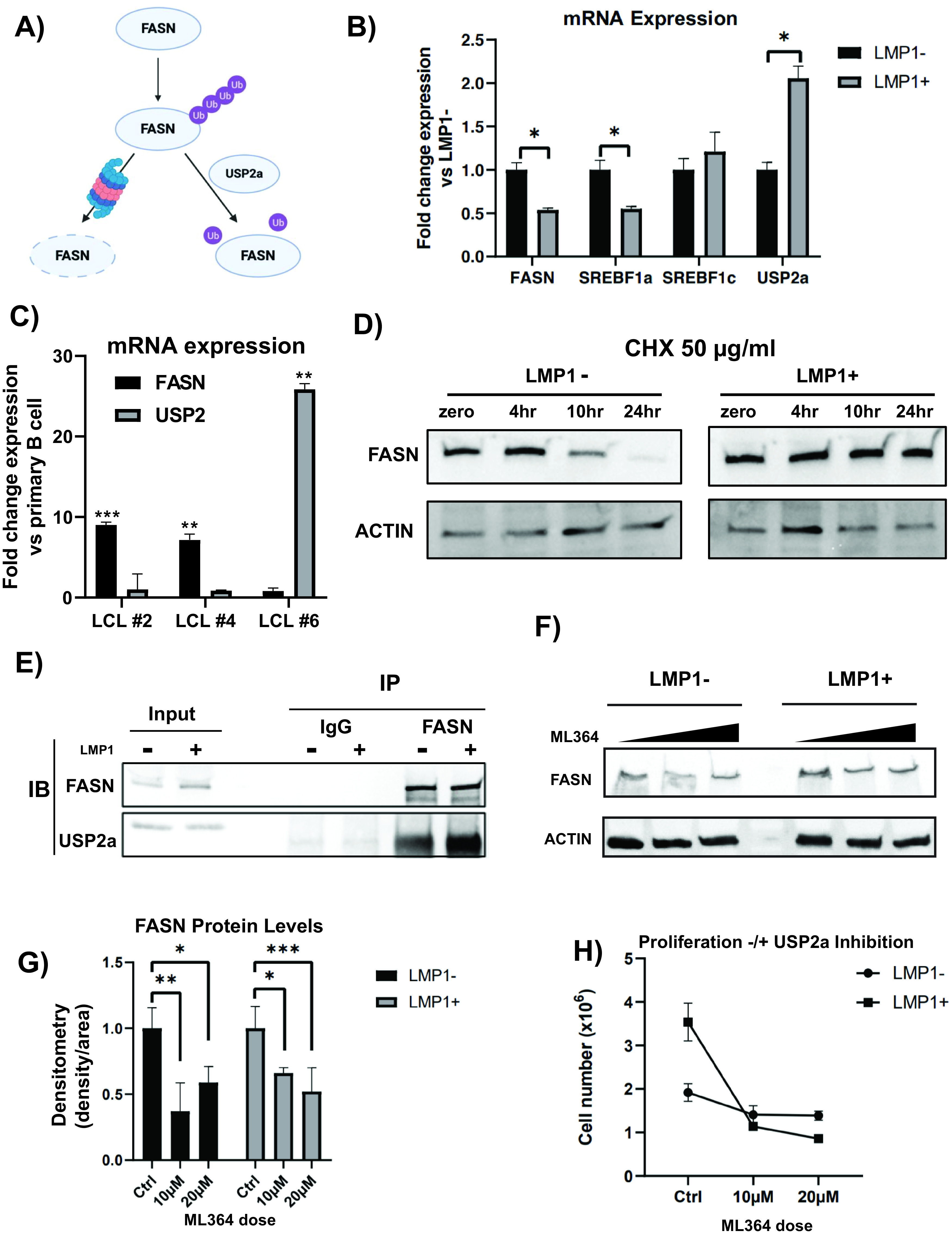 FIG 6