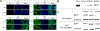 Figure 12.