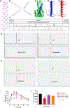 Figure 13.