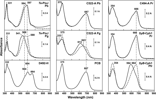 FIGURE 4.