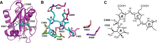 FIGURE 3.