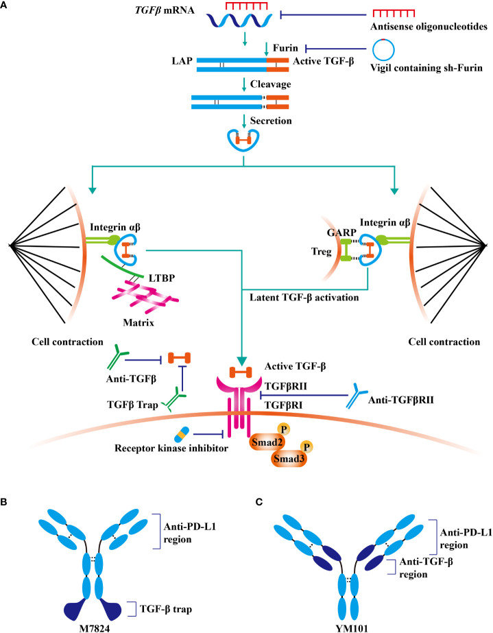 Figure 2