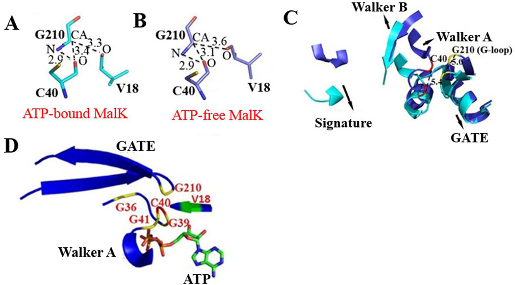 Fig. 3