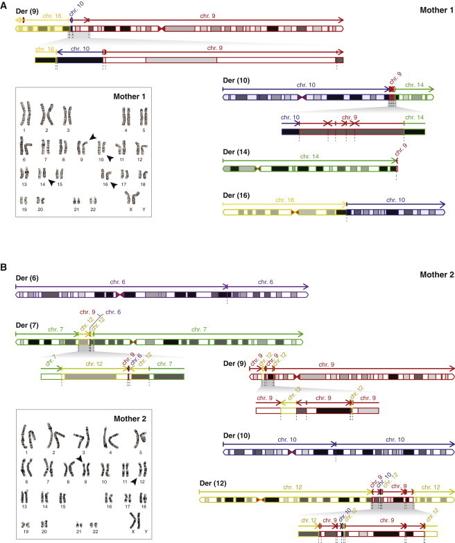 Figure 2